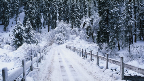 Beautiful Winter Wallpapers (155 wallpapers)