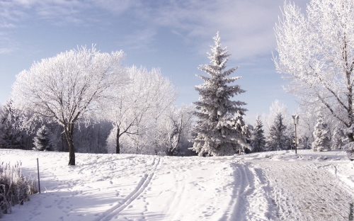 Beautiful Winter Wallpapers (155 wallpapers)