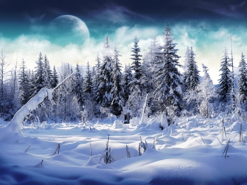 Beautiful Winter Wallpapers (155 wallpapers)