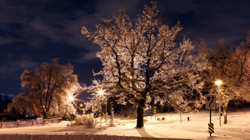 Beautiful Winter Wallpapers (155 wallpapers)