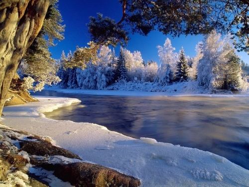 Beautiful Winter Wallpapers (155 wallpapers)