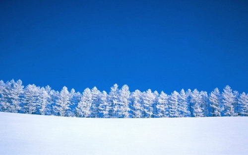 Beautiful Winter Wallpapers (155 wallpapers)