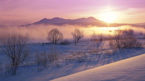 Beautiful Winter Wallpapers (155 wallpapers)