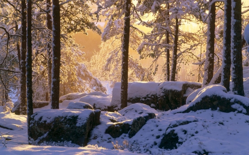 Beautiful Winter Wallpapers (155 wallpapers)