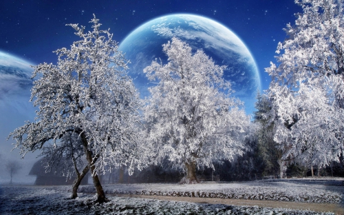 Beautiful Winter Wallpapers (155 wallpapers)