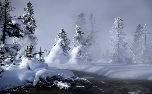 Beautiful Winter Wallpapers (155 wallpapers)