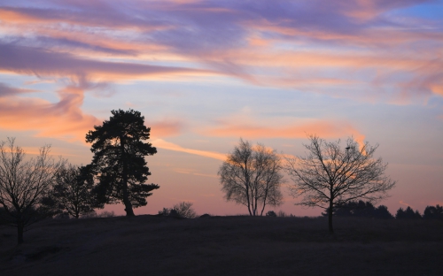 Nature Landscape (100 wallpapers)