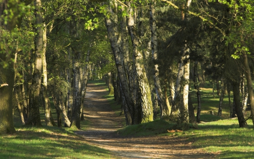 Nature Landscape (100 wallpapers)