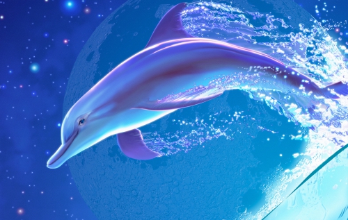 Wallpapers - Dolphins Pack (75 wallpapers)