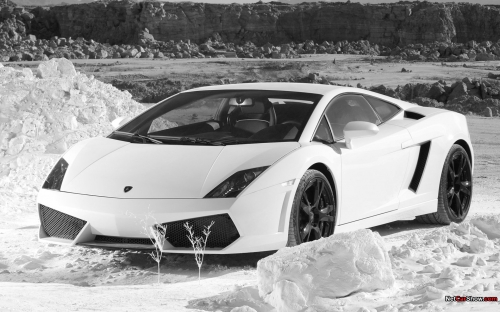 Cool Lamborghini Cars HQ Wallpapers (60 wallpapers)