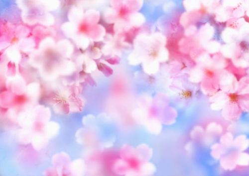 Selected Wallpapers - Flowers. Part 2 (440 wallpapers)