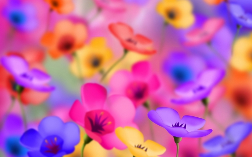 Selected Wallpapers - Flowers. Part 2 (440 wallpapers)