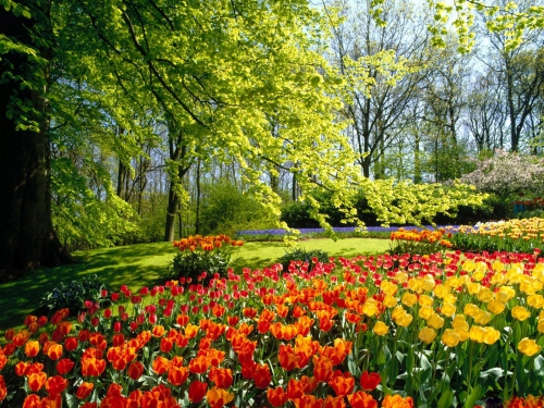 Spring landscapes of nature (60 wallpapers)