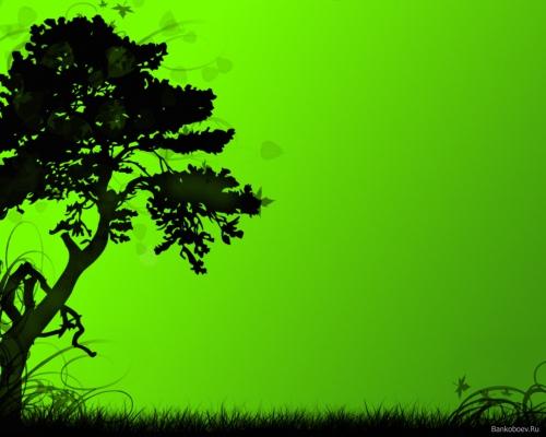 A palette of green shades of different subjects (556 wallpapers)