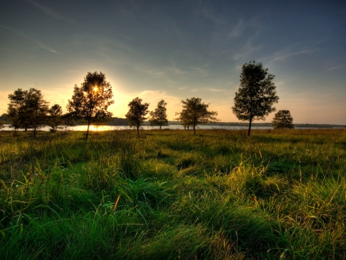 A palette of green shades of different subjects (556 wallpapers)