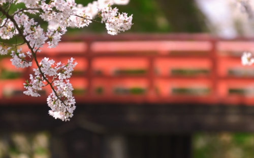 110 Wallpapers from Japan (110 wallpapers)