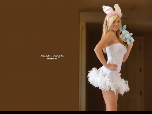 Playboy girls wallpaper (200 wallpapers)