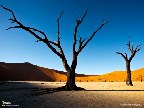 60 Best National Geographic Wallpapers 2011 (part 1) (60 wallpapers)