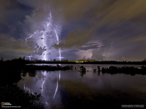 60 Best National Geographic Wallpapers 2011 (part 1) (60 wallpapers)