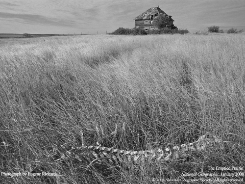 National Geographic Life in Black and White (2011) (112 wallpapers)