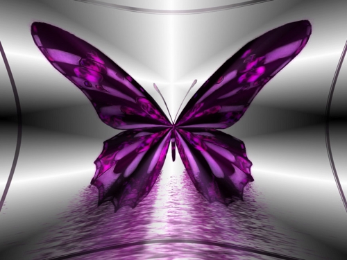 Collection Beautiful Butterfly (152 wallpapers)