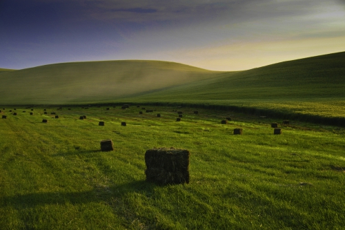 Wallpaper Landscapes Fields (163 wallpapers)