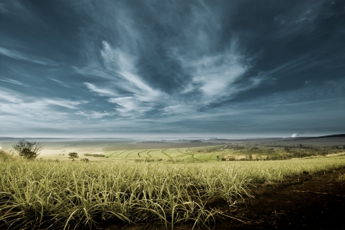 Wallpaper Landscapes Fields (163 wallpapers)