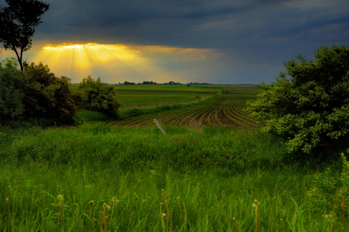 Wallpaper Landscapes Fields (163 wallpapers)