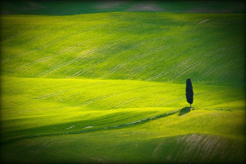 Wallpaper Landscapes Fields (163 wallpapers)