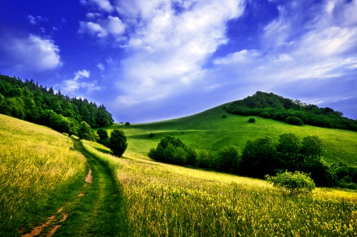 Wallpaper Landscapes Fields (163 wallpapers)