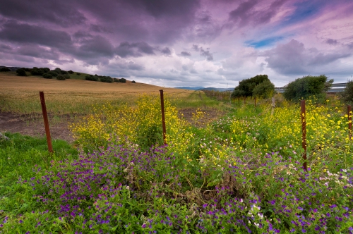 Wallpaper Landscapes Fields (163 wallpapers)