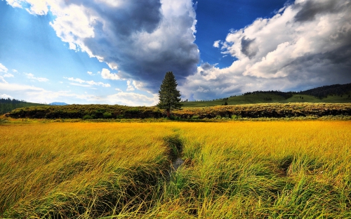 Wallpaper Landscapes Fields (163 wallpapers)