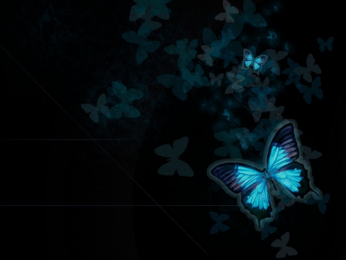 Wallpapers flowers & butterfly (133 wallpapers)