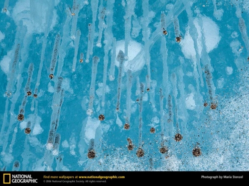 National Geographic Wallpapers (1113 wallpapers)