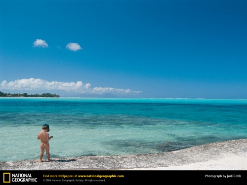 National Geographic Wallpapers (1113 wallpapers)