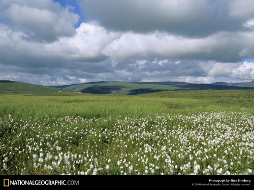 National Geographic Wallpapers (1113 wallpapers)