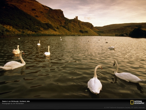 National Geographic Wallpapers (1113 wallpapers)