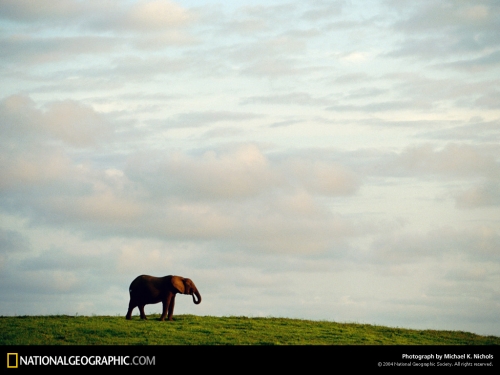 National Geographic Wallpapers (1113 wallpapers)