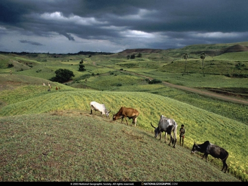 National Geographic Wallpapers (1113 wallpapers)