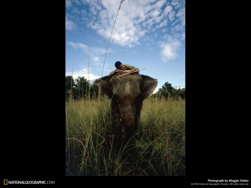 National Geographic Wallpapers (1113 wallpapers)