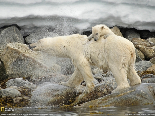 National Geographic Wallpapers (1113 wallpapers)