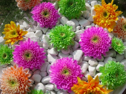 Flowers Wallpapers (74 wallpapers)