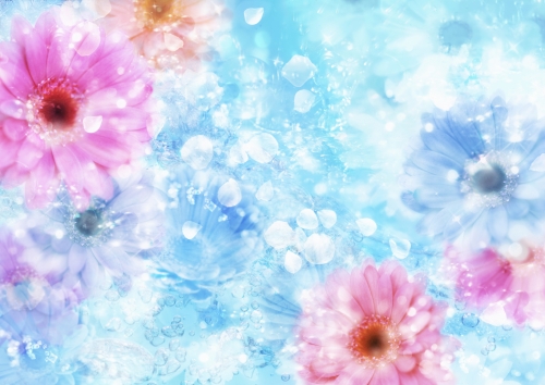 Flowers Wallpapers (102 wallpapers)