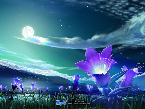 Collection of thematic wallpapers - fantasy (F-05) - (2011) JPEG (299 wallpapers)