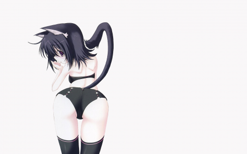 Ecchi widescreen # 1 # wallpapers (49 wallpapers)