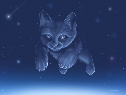 Cats Wallpapers (82 wallpapers)