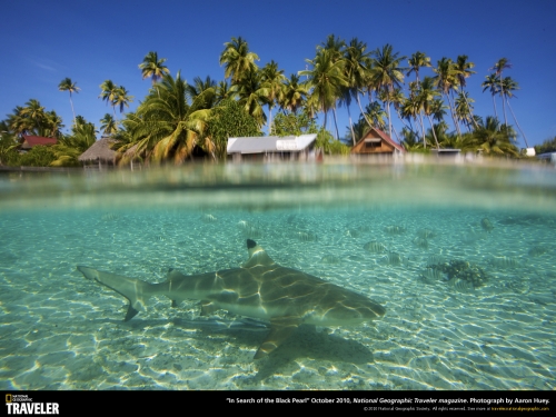 Underwater Wallpapers (195 wallpapers)