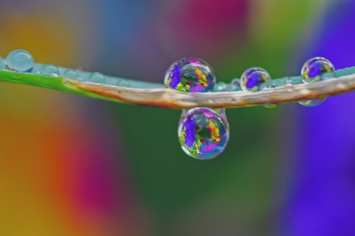 Beautiful macro wallpapers (114 wallpapers)