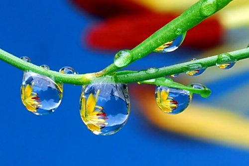 Beautiful macro wallpapers (114 wallpapers)