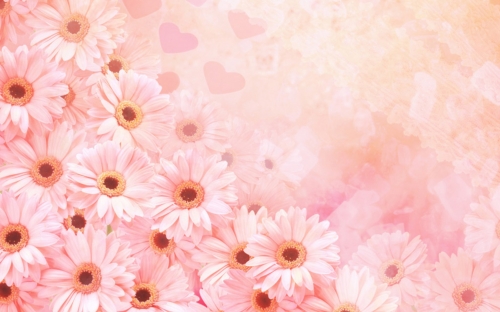 Flower Wallpapers (209 wallpapers)